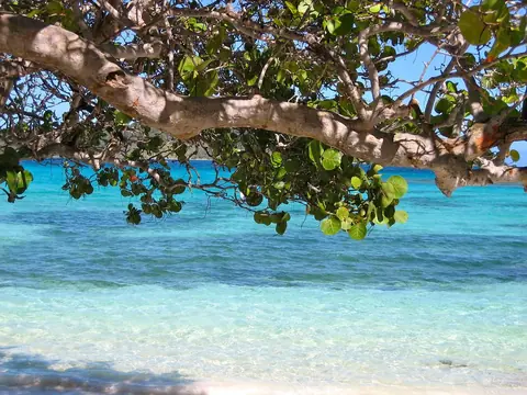 Barbados: barbados, sea, beach