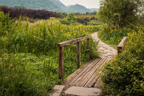 China: china, meadow, guizhou, path