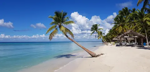 Dominicaanse Republiek: beach, palm trees, sea, coast