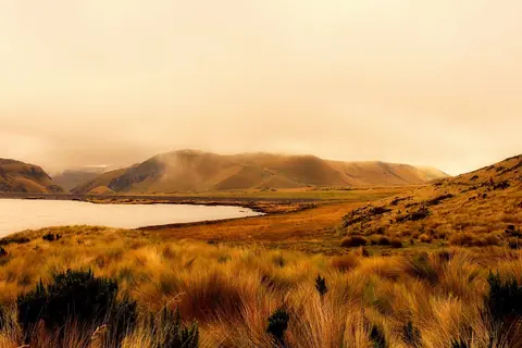 Ecuador: ecuador, sunrise, morning, fog