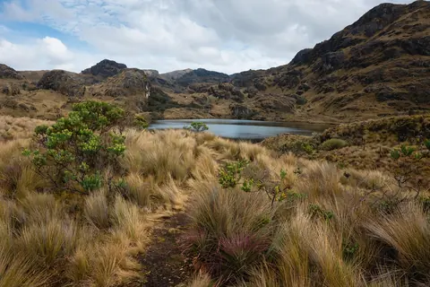 Ecuador: lake, wetland, mountains, stream