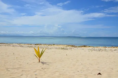 Fiji: fiji, beach