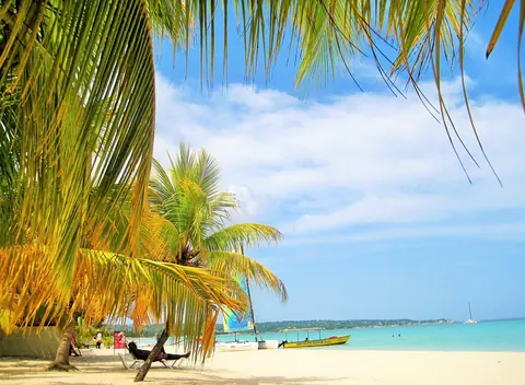 Jamaica: gorgeous, jamaica, palm trees, beach