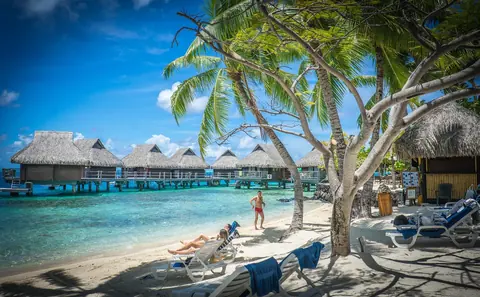 Frans-Polynesië: bora-bora, over water bungalows, palm trees, south pacific
