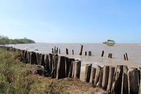 Suriname: suriname, sea, atlantic ocean