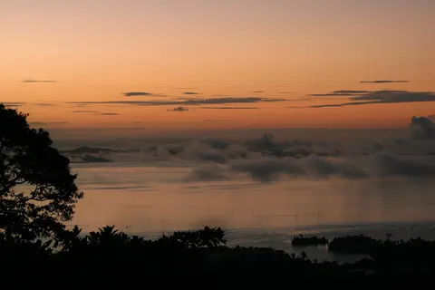 Suriname: sunset, jungle, fog, suriname